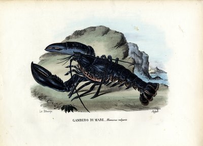 Schaaldieren, 1863-79 door Raimundo Petraroja